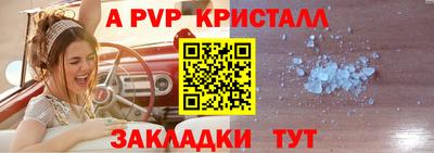 стаф Будённовск