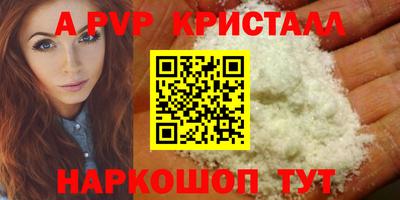 стаф Будённовск