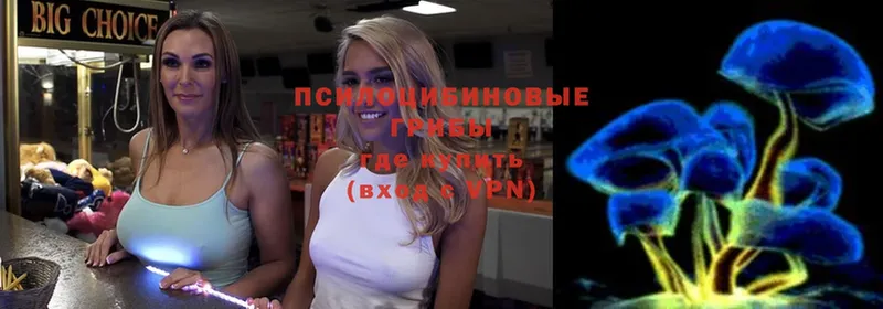 Галлюциногенные грибы мицелий  Аксай 