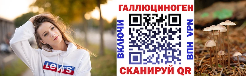 дарнет шоп Аксай ссылка на мегу как войти Псилоцибиновые грибы ЛСД